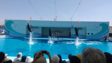 南知多ビーチランド＆南知多おもちゃ王国に投稿された画像（2023/5/3）