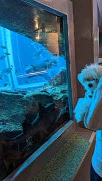 下田海中水族館に投稿された画像（2023/5/3）