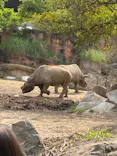 天王寺動物園に投稿された画像（2023/5/3）