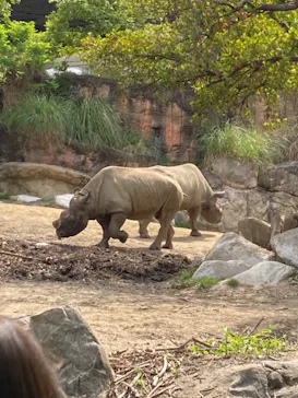 天王寺動物園に投稿された画像（2023/5/3）