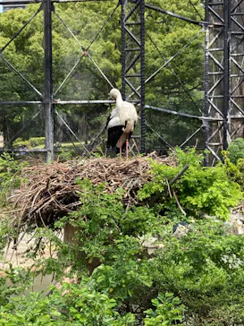 天王寺動物園に投稿された画像（2023/5/3）