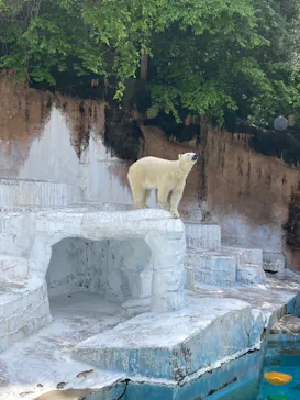 天王寺動物園に投稿された画像（2023/5/3）