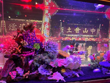 ネオパークオキナワに投稿された画像（2023/5/3）