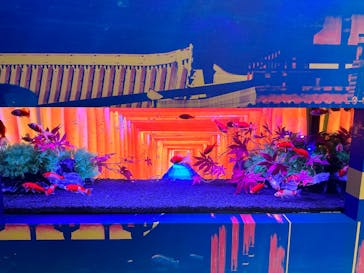 ネオパークオキナワに投稿された画像（2023/5/3）