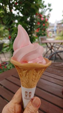 横浜イングリッシュガーデンに投稿された画像（2023/5/3）