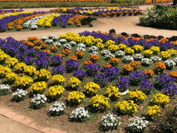 東武動物公園に投稿された画像（2023/5/3）