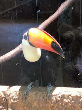 東武動物公園に投稿された画像（2023/5/3）