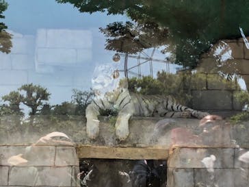 東武動物公園に投稿された画像（2023/5/3）