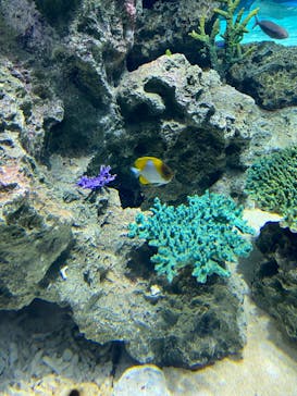 サンシャイン水族館に投稿された画像（2023/5/3）