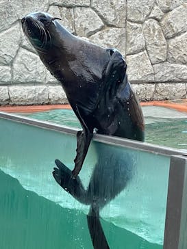 那須どうぶつ王国に投稿された画像（2023/5/3）