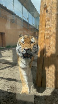 那須どうぶつ王国に投稿された画像（2023/5/3）