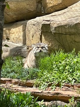 那須どうぶつ王国に投稿された画像（2023/5/3）