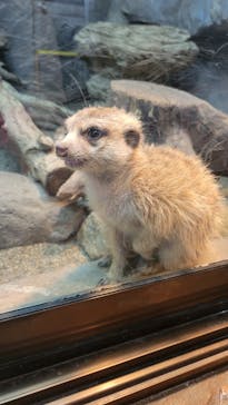 那須どうぶつ王国に投稿された画像（2023/5/3）