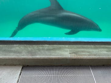 しながわ水族館に投稿された画像（2023/5/3）
