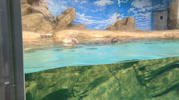 マリンワールド海の中道に投稿された画像（2023/5/3）