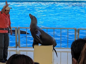 マリンワールド海の中道に投稿された画像（2023/5/3）