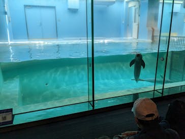 マリンワールド海の中道に投稿された画像（2023/5/3）