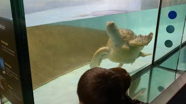 マリンワールド海の中道に投稿された画像（2023/5/3）