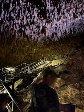 おきなわワールドに投稿された画像（2023/5/3）