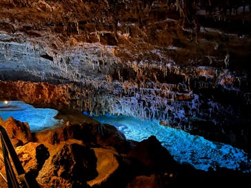 おきなわワールドに投稿された画像（2023/5/3）