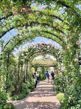 横浜イングリッシュガーデンに投稿された画像（2023/5/3）