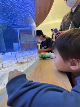 名古屋港水族館に投稿された画像（2023/5/3）