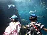 新江ノ島水族館に投稿された画像（2023/5/3）