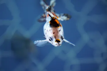 すみだ水族館に投稿された画像（2023/5/3）
