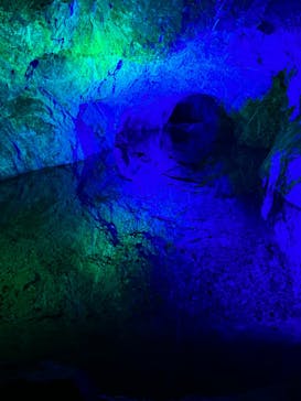 地底王国「美川ムーバレー」に投稿された画像（2023/5/3）