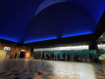 株式会社Gに投稿された画像（2023/5/3）