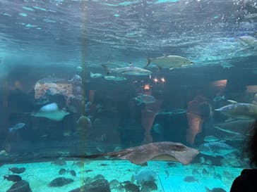 株式会社Gに投稿された画像（2023/5/3）