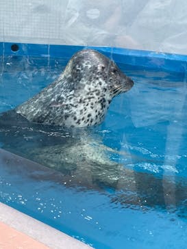 株式会社Gに投稿された画像（2023/5/3）