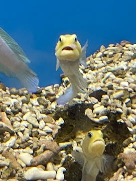 株式会社Gに投稿された画像（2023/5/3）