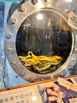 おきなわワールドに投稿された画像（2023/5/3）