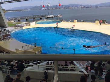 マリンワールド海の中道に投稿された画像（2023/5/3）