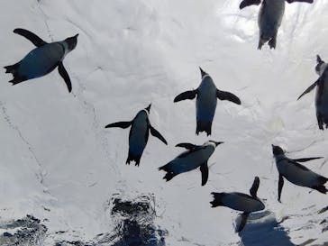 サンシャイン水族館に投稿された画像（2023/5/3）