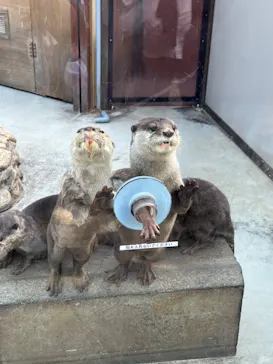 横浜・八景島シーパラダイスに投稿された画像（2023/5/3）