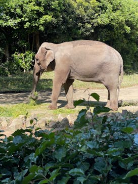 よこはま動物園ズーラシアに投稿された画像（2023/5/3）