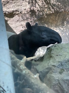 よこはま動物園ズーラシアに投稿された画像（2023/5/3）