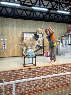 東北サファリパークに投稿された画像（2023/5/3）