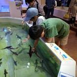 南知多ビーチランド＆南知多おもちゃ王国に投稿された画像（2023/5/3）