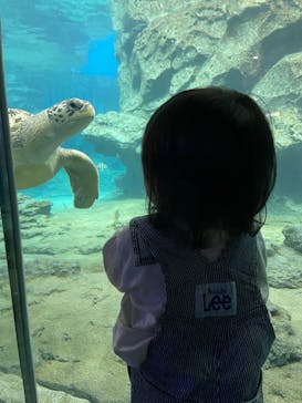 名古屋港水族館に投稿された画像（2023/5/3）