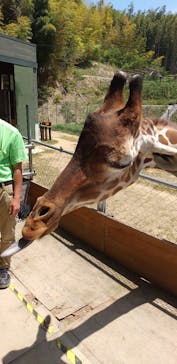 しろとり動物園に投稿された画像（2023/5/3）