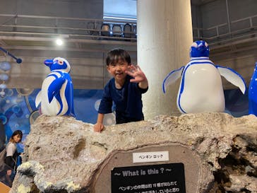 大分マリーンパレス水族館 「うみたまご」に投稿された画像（2023/5/3）