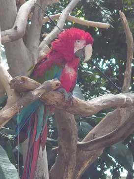 神戸どうぶつ王国に投稿された画像（2023/5/3）