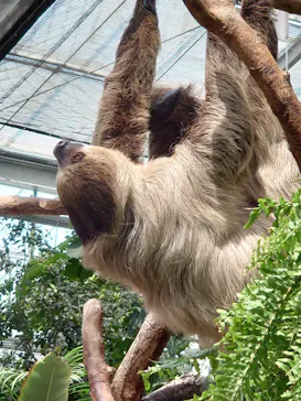 神戸どうぶつ王国に投稿された画像（2023/5/3）