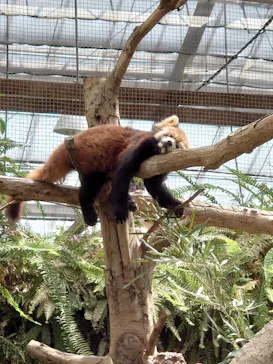 神戸どうぶつ王国に投稿された画像（2023/5/3）