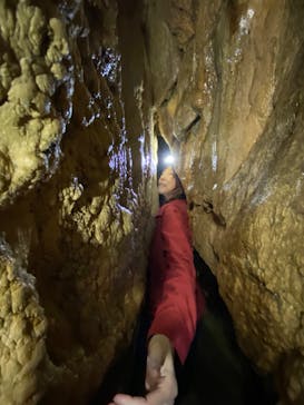 あぶくま洞に投稿された画像（2023/5/3）