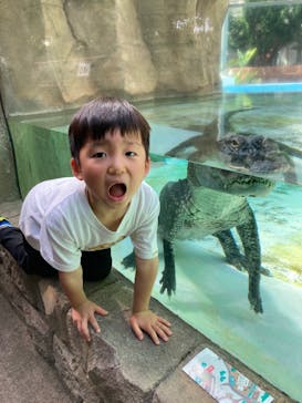 熱川バナナワニ園に投稿された画像（2023/5/3）