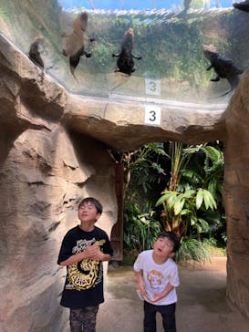 熱川バナナワニ園に投稿された画像（2023/5/3）